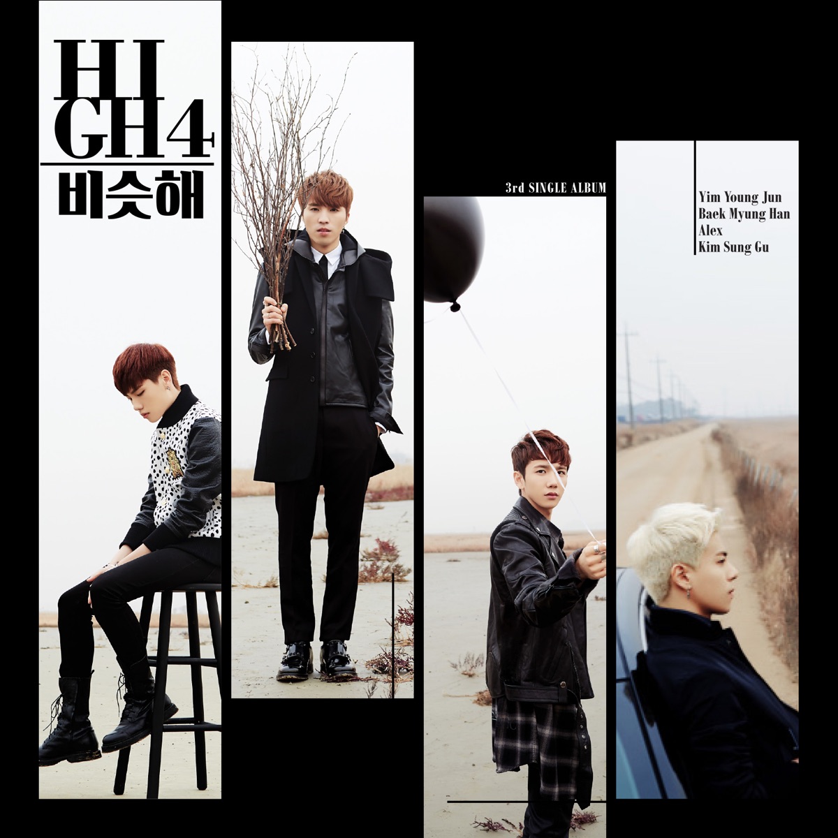 Day By Day - Single by HIGH4 album cover