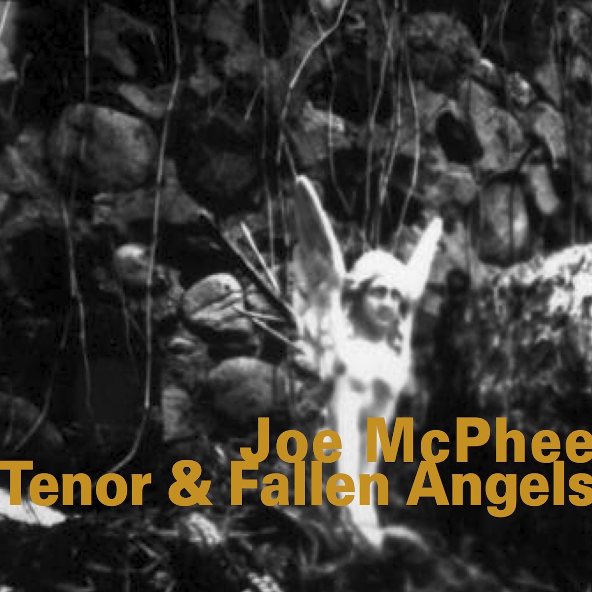 Tenor & Fallen Angels by Joe McPhee album cover