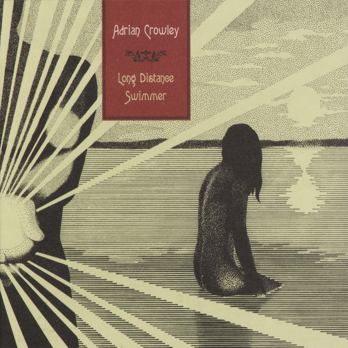 Long Distance Swimmer by Adrian Crowley album cover