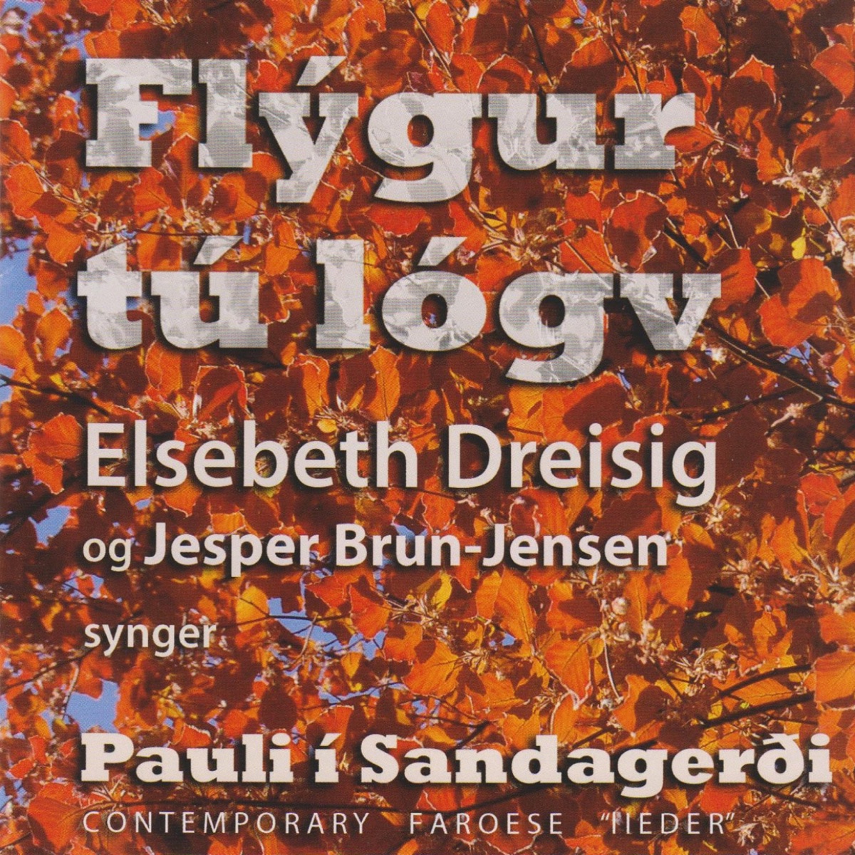 Flýgur tú lógv by Elsebeth Dreisig & Jesper Brun-Jensen album cover