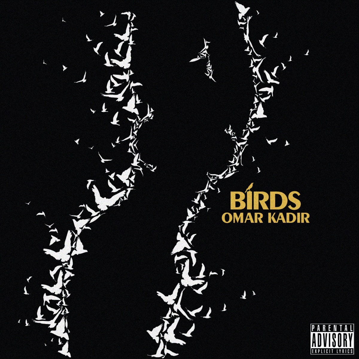 Birds - Single by Omar Kadir album cover