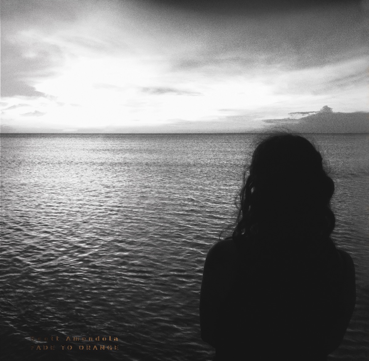 Fade To Orange (feat. Nels Cline & Trevor Dunn) by Scott Amendola album cover