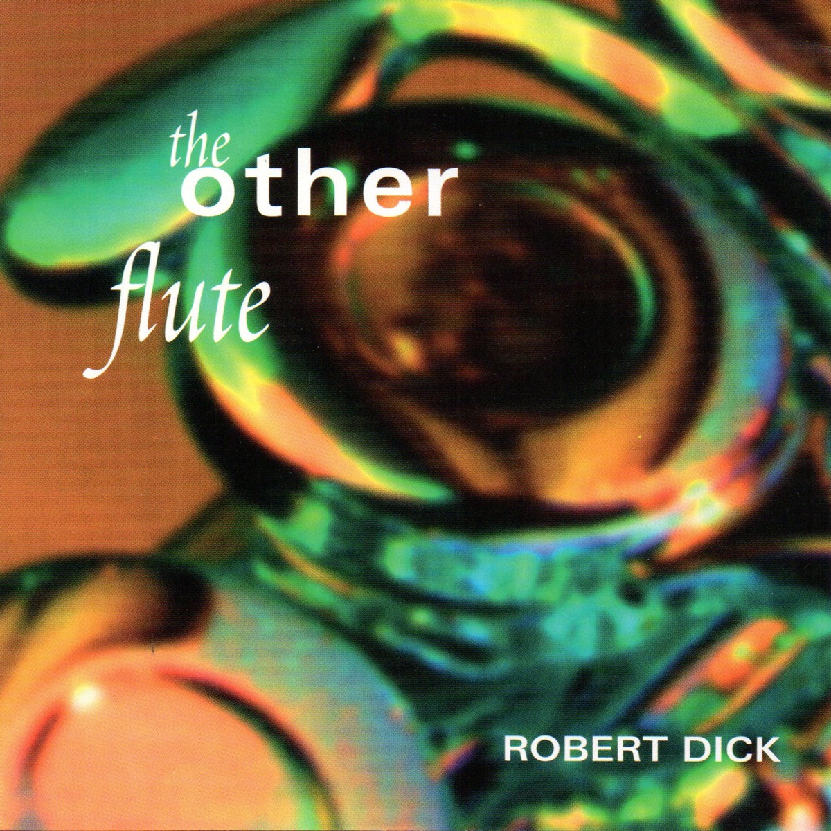 The Other Flute: Works by Dolphy, Dick, Varèse and Paganini by Robert Dick album cover