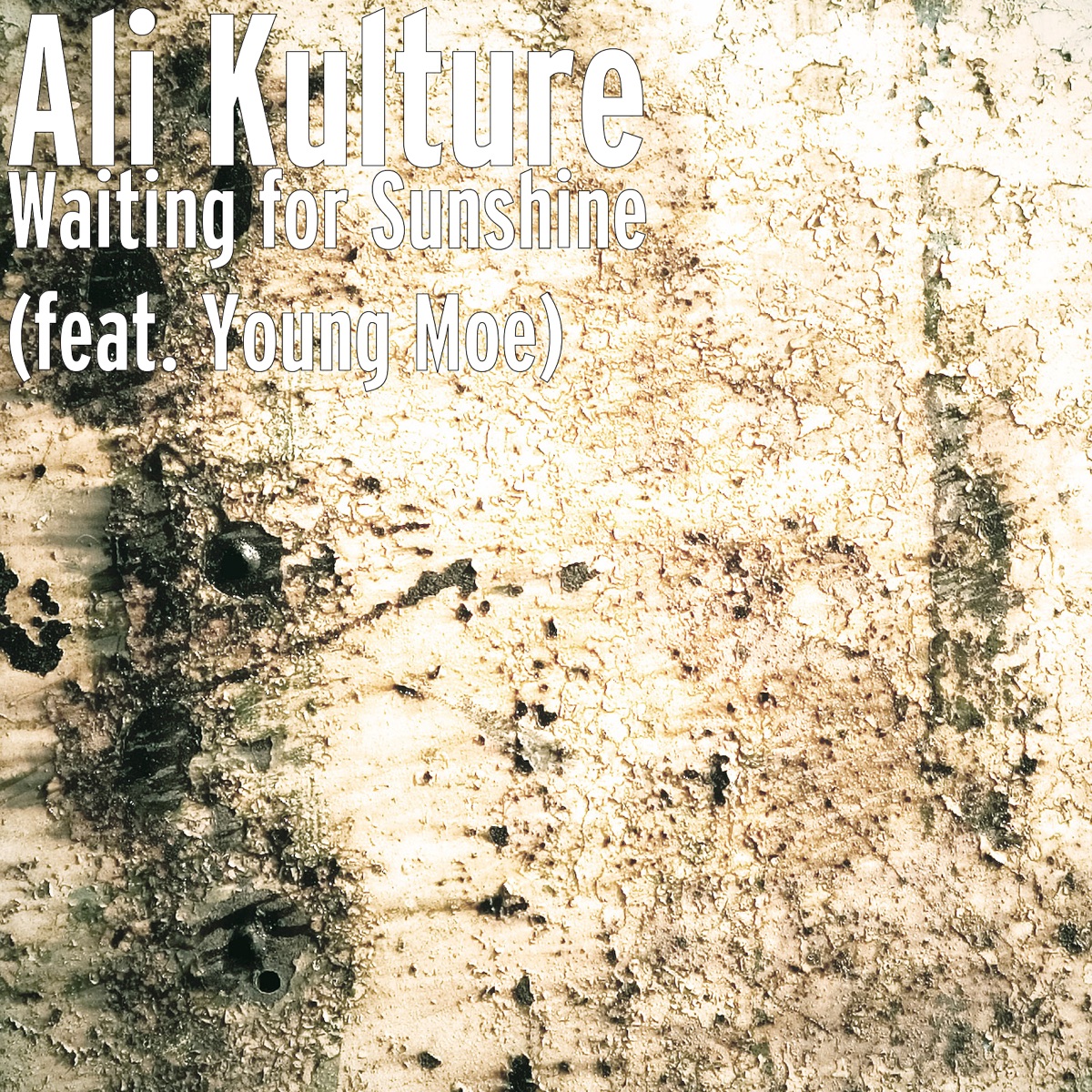 Waiting for Sunshine (feat. Young Moe) - Single by Ali Kulture album cover