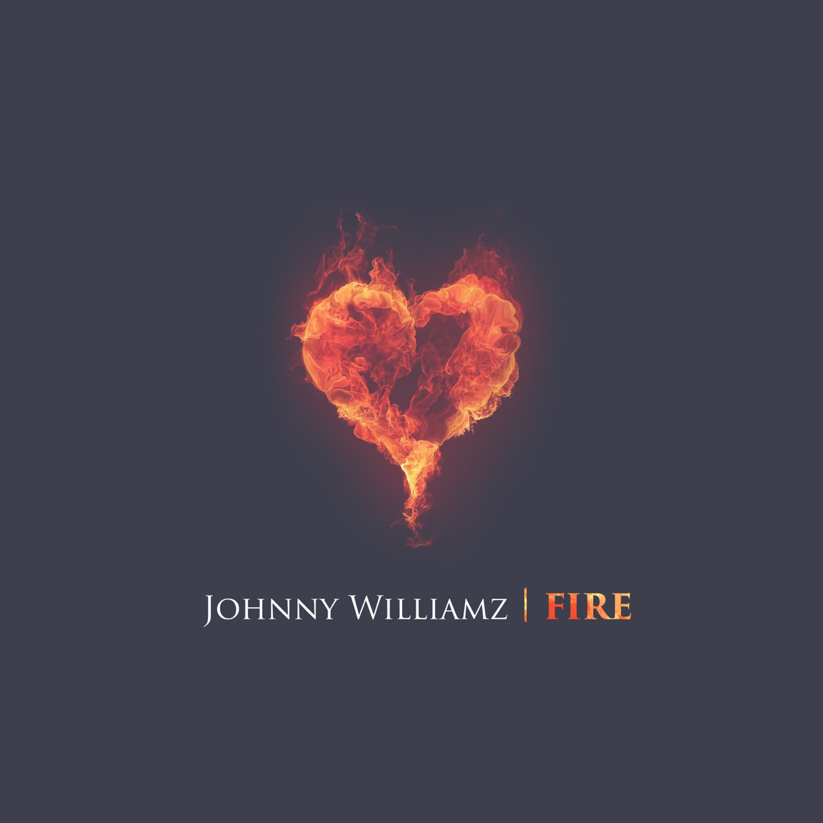 Fire (feat. Michael Wayne & Wanda Jae) - Single by Johnny Williamz album cover