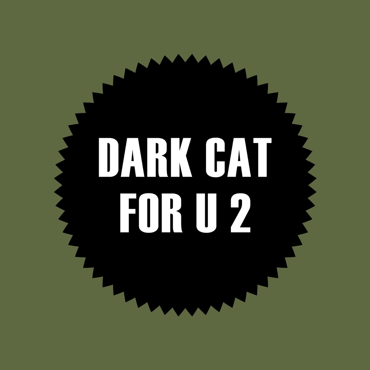 For U 2 - Single by dark cat album cover