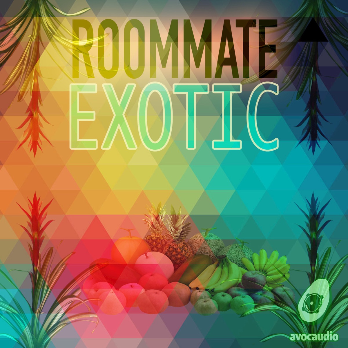 Exotic - EP by Roommate album cover