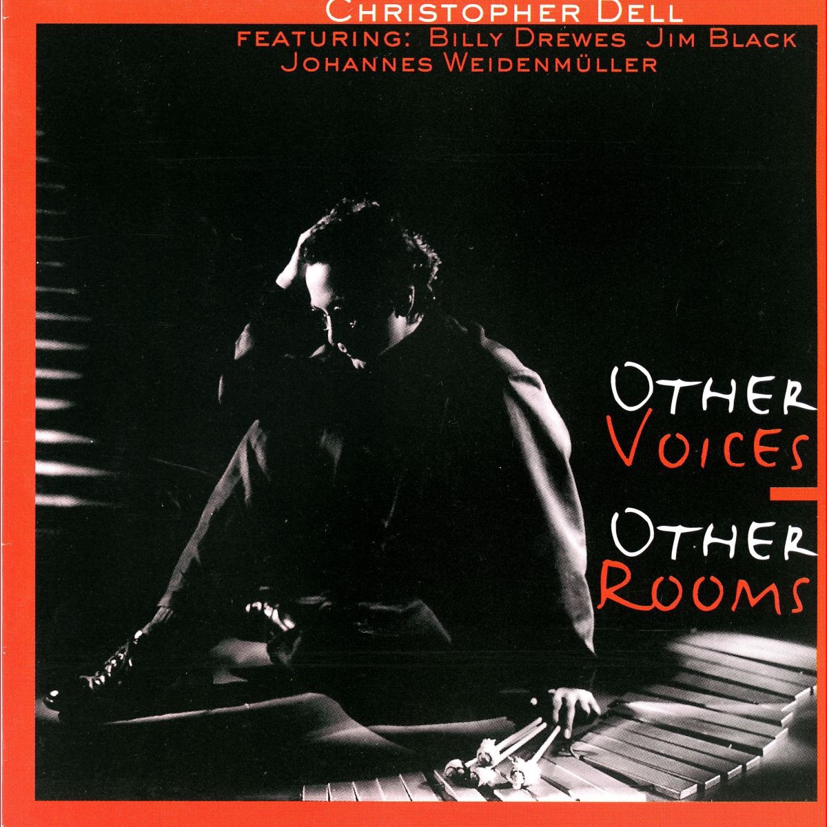 Other Voices Other Rooms (feat. Billy Drewes, Jim Black & Johannes Weidenmuller) by Christopher Dell album cover