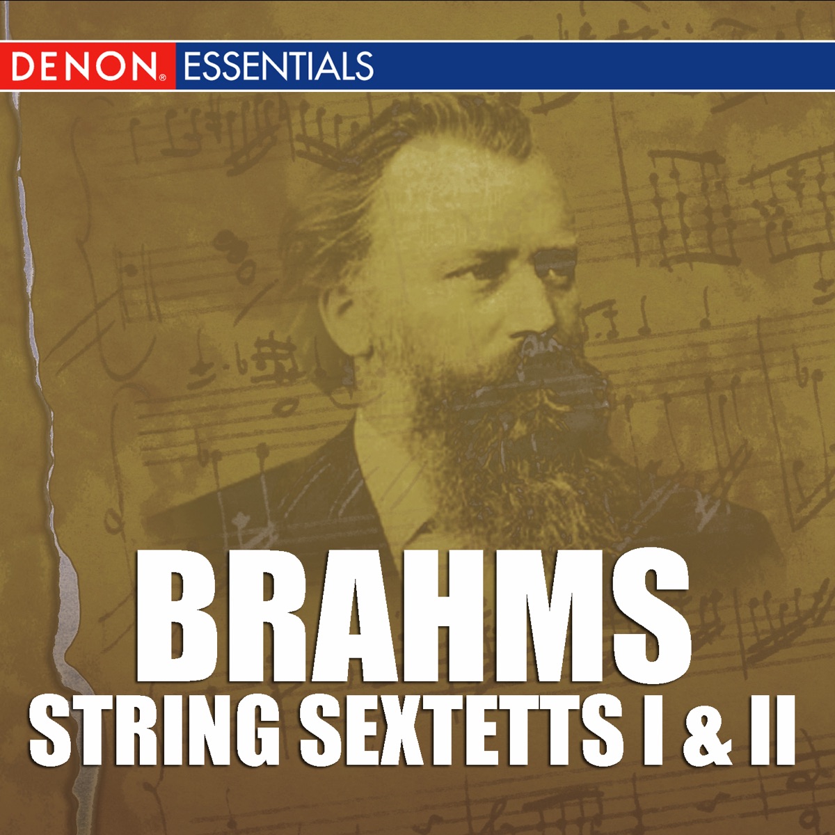 Brahms: String Sextetts I & II by Conrad von der Goltz, Söhre Uhde, Ernst Triner, Vadim Mazo, Daniel Robert Graf & Barbara Graf album cover