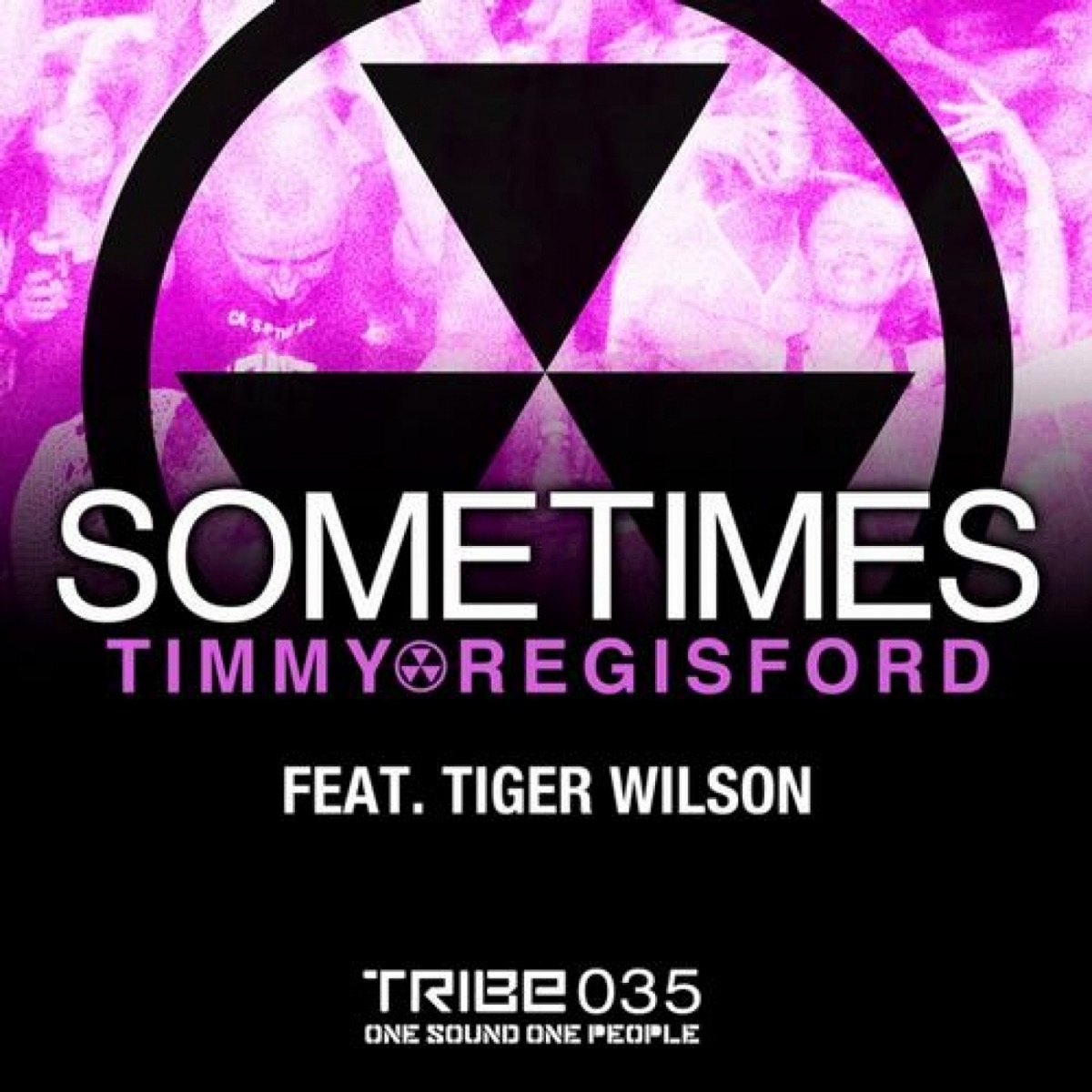 Sometimes (feat. Tiger Wilson) - Single by Timmy Regisford album cover