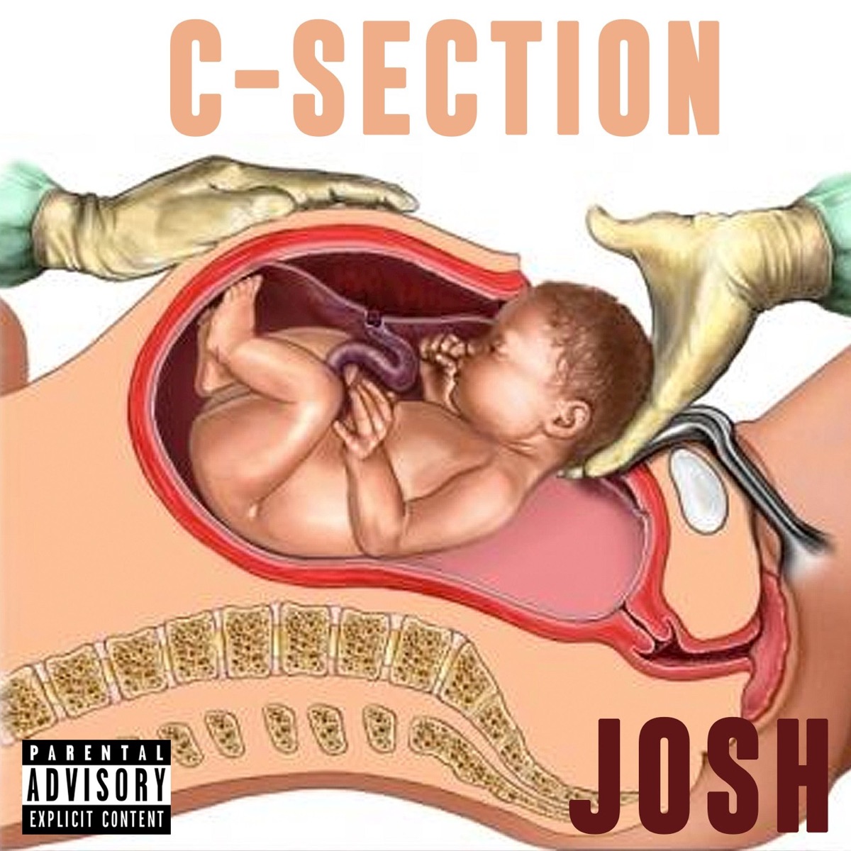 C-section - Single by Josh album cover