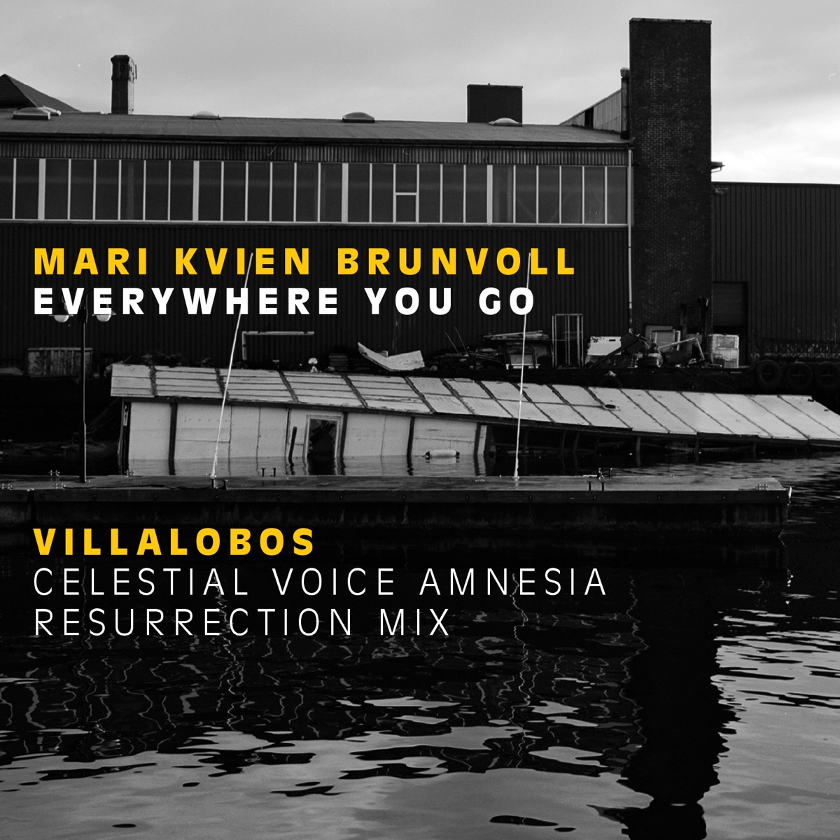 Everywhere You Go - Villalobos celestial voice amnesia resurrection mix (Everywhere You Go) - EP by Mari Kvien Brunvoll & Ricardo Villalobos album cover