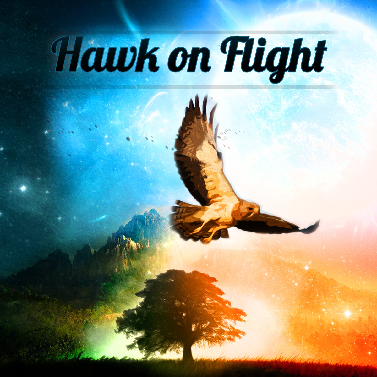 Hawk on Flight (feat. Lars Jansson, Ulf Wakenius, Matz Nilsson & Raymond Karlsson) by Hawk On Flight album cover