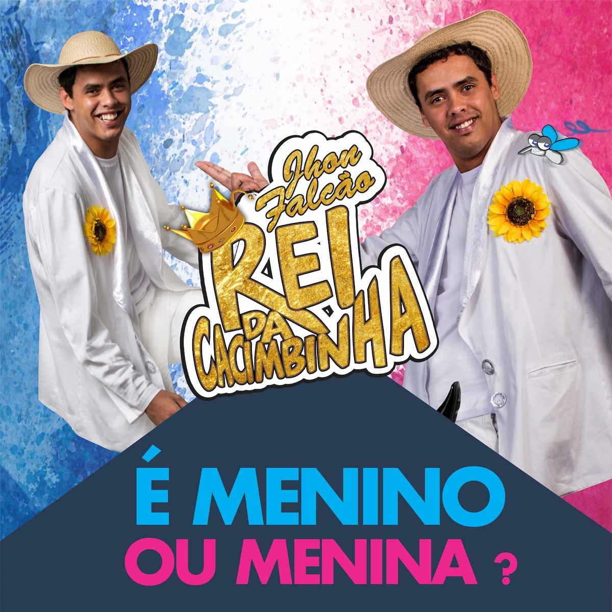É Menino ou Menina? - Single by Jhon Falcão Rei Da Cacimbinha album cover