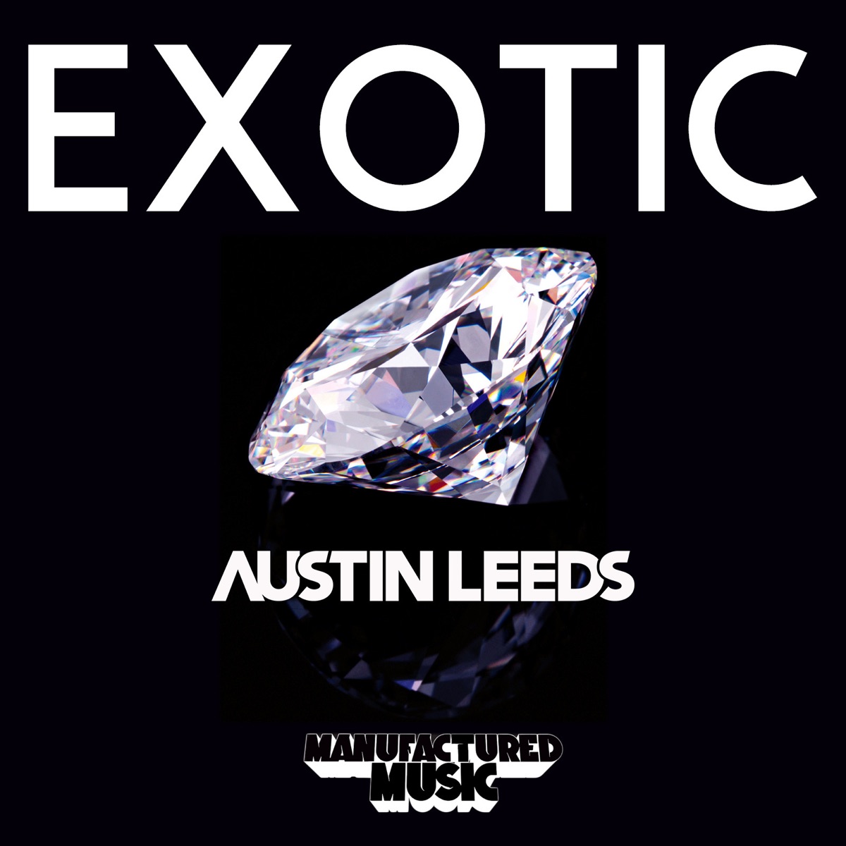 Exotic - Single by Austin Leeds album cover