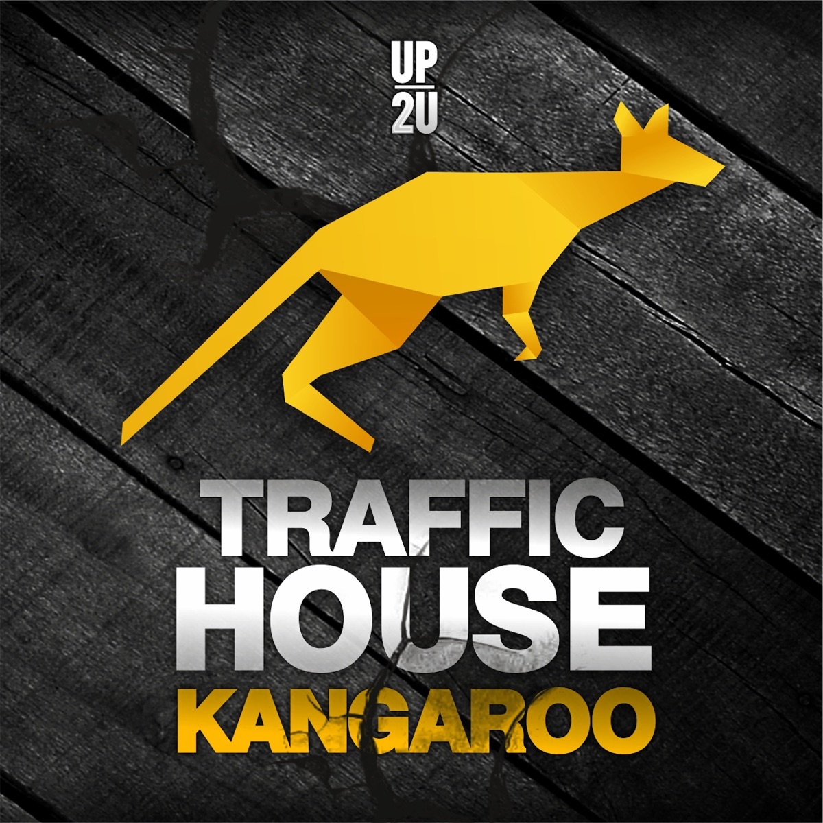 Kangaroo - Single by Traffic House album cover