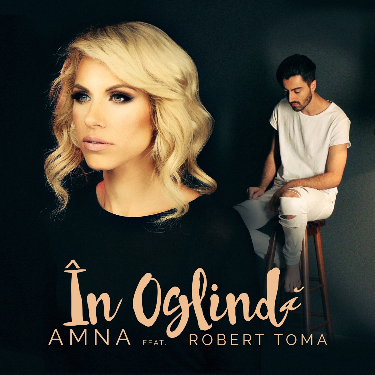 In Oglinda (feat. Robert Toma) - Single by Amna album cover