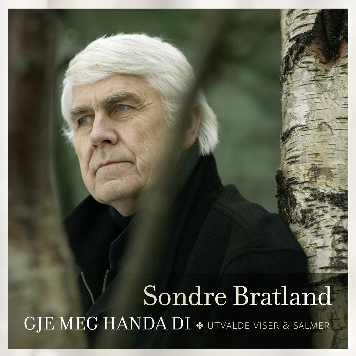 Gje Meg Handa Di by Sondre Bratland album cover