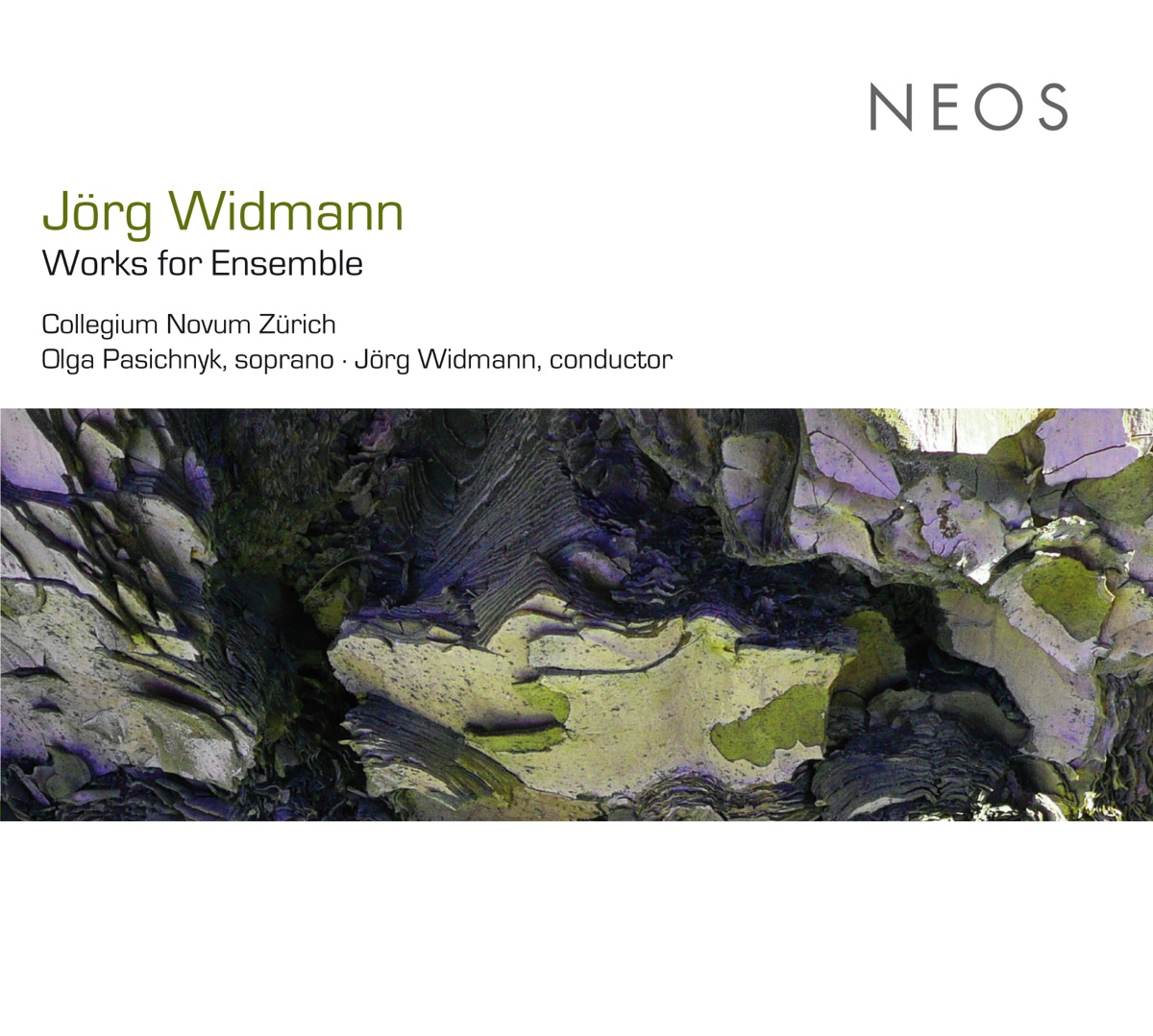 Widmann: Works for Ensemble by Olga Pasichnyk & Zurich Collegium Novum album cover
