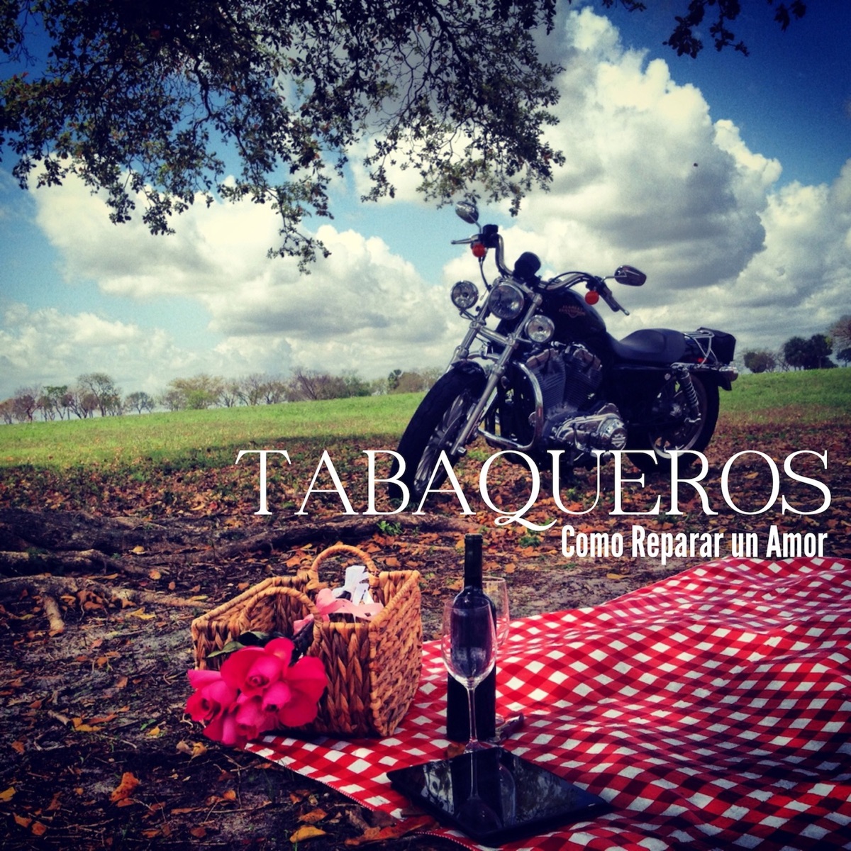 Como Reparar un Amor - Single by Tabaqueros album cover