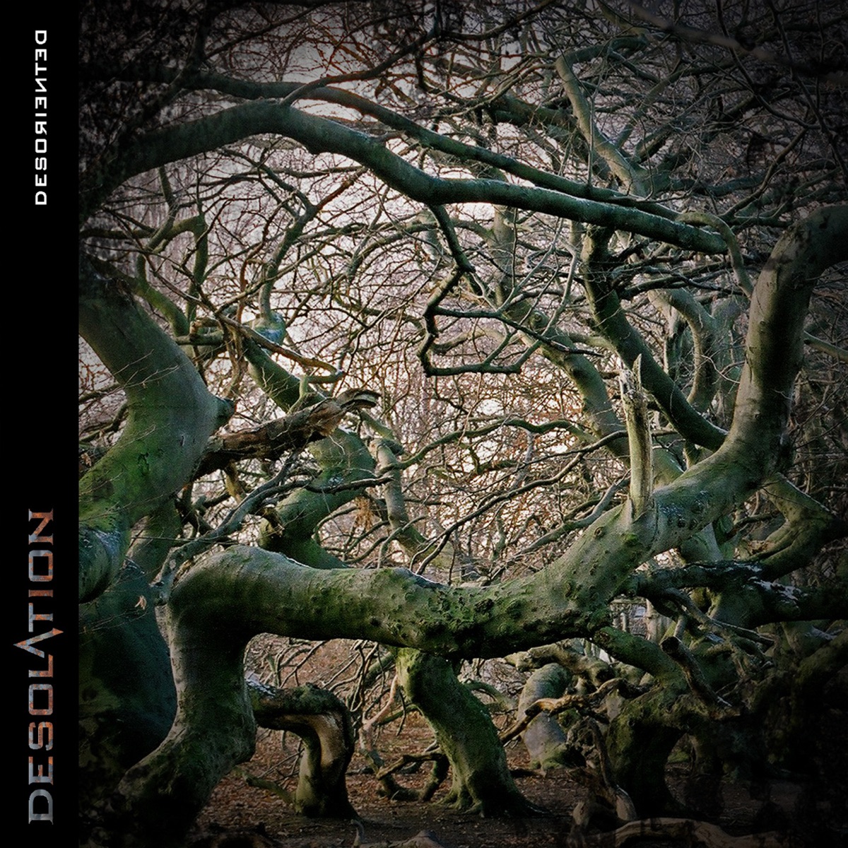 Desoriented by Desolation album cover
