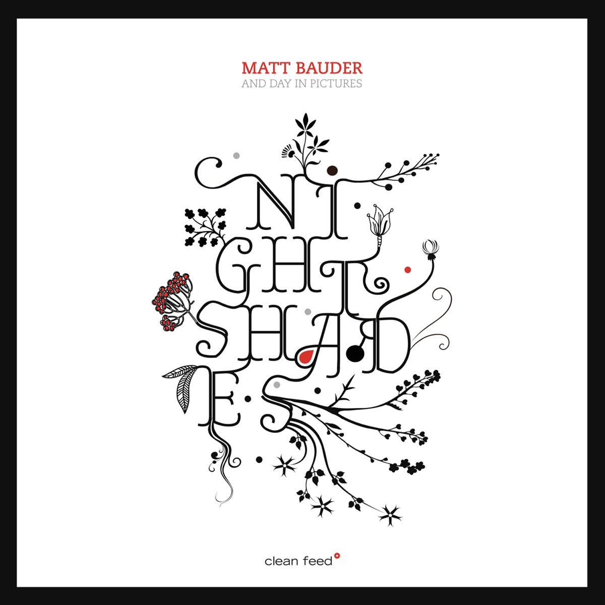 Nightshades (feat. Nate Wooley, Kris Davis, Jason Ajemian & Tomas Fujiwara) by Matt Bauder Day In Picture album cover