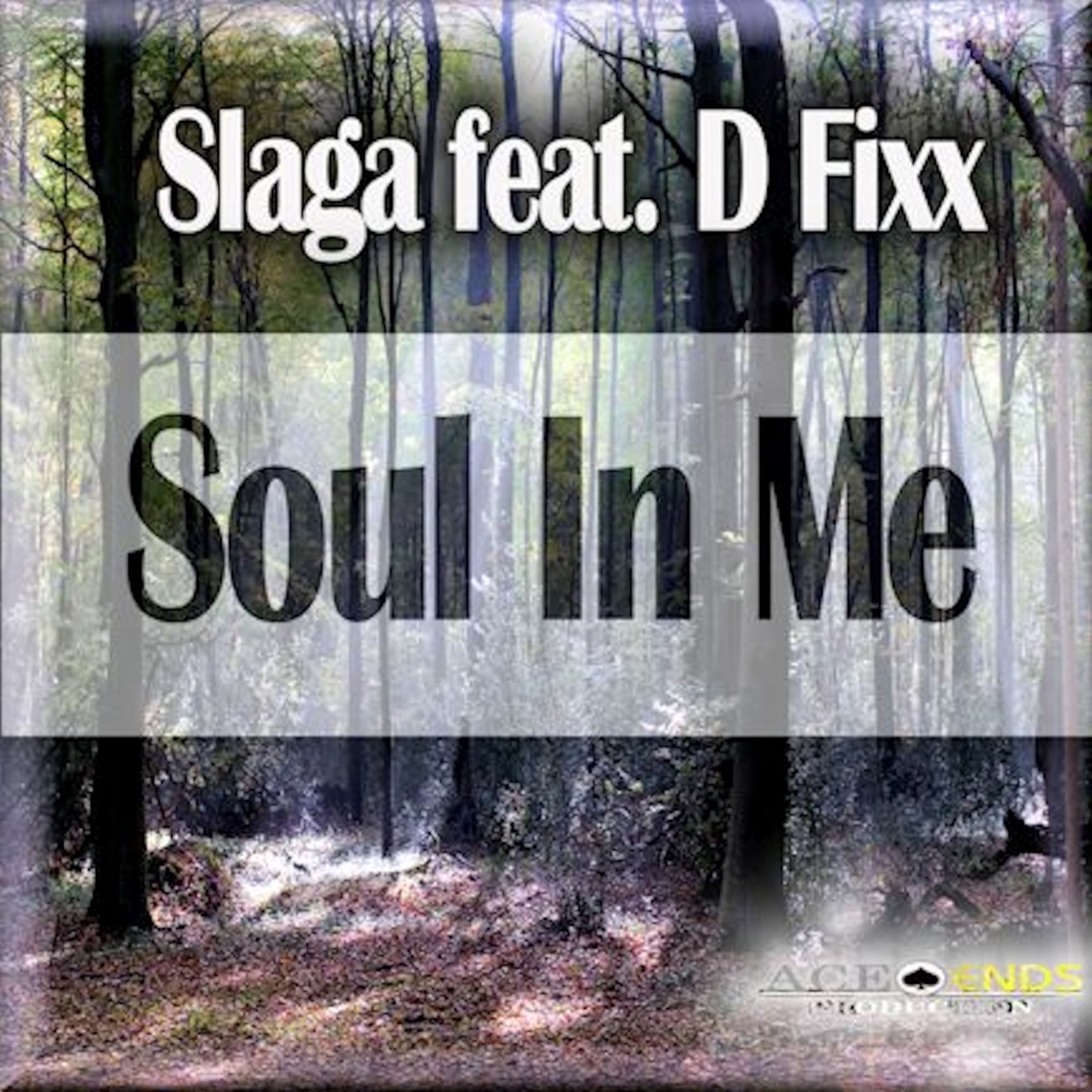 Soul In Me (feat. D-FixX) - Single by Slaga album cover