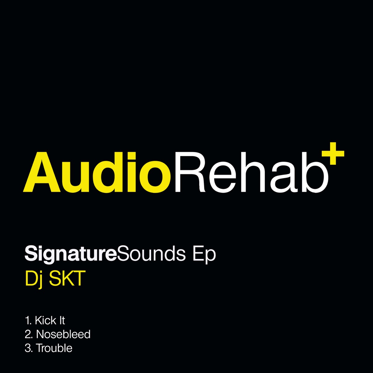 Signature Sounds - Single by DJ S.K.T album cover