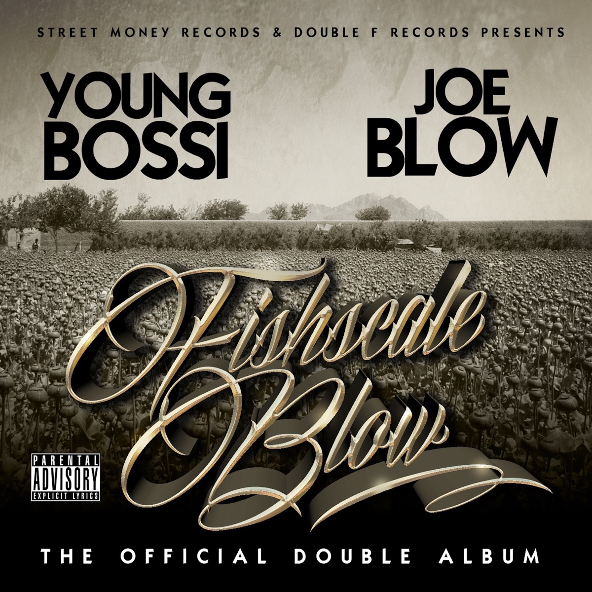 FishscaleBlow by Young Bossi & Joe Blow album cover