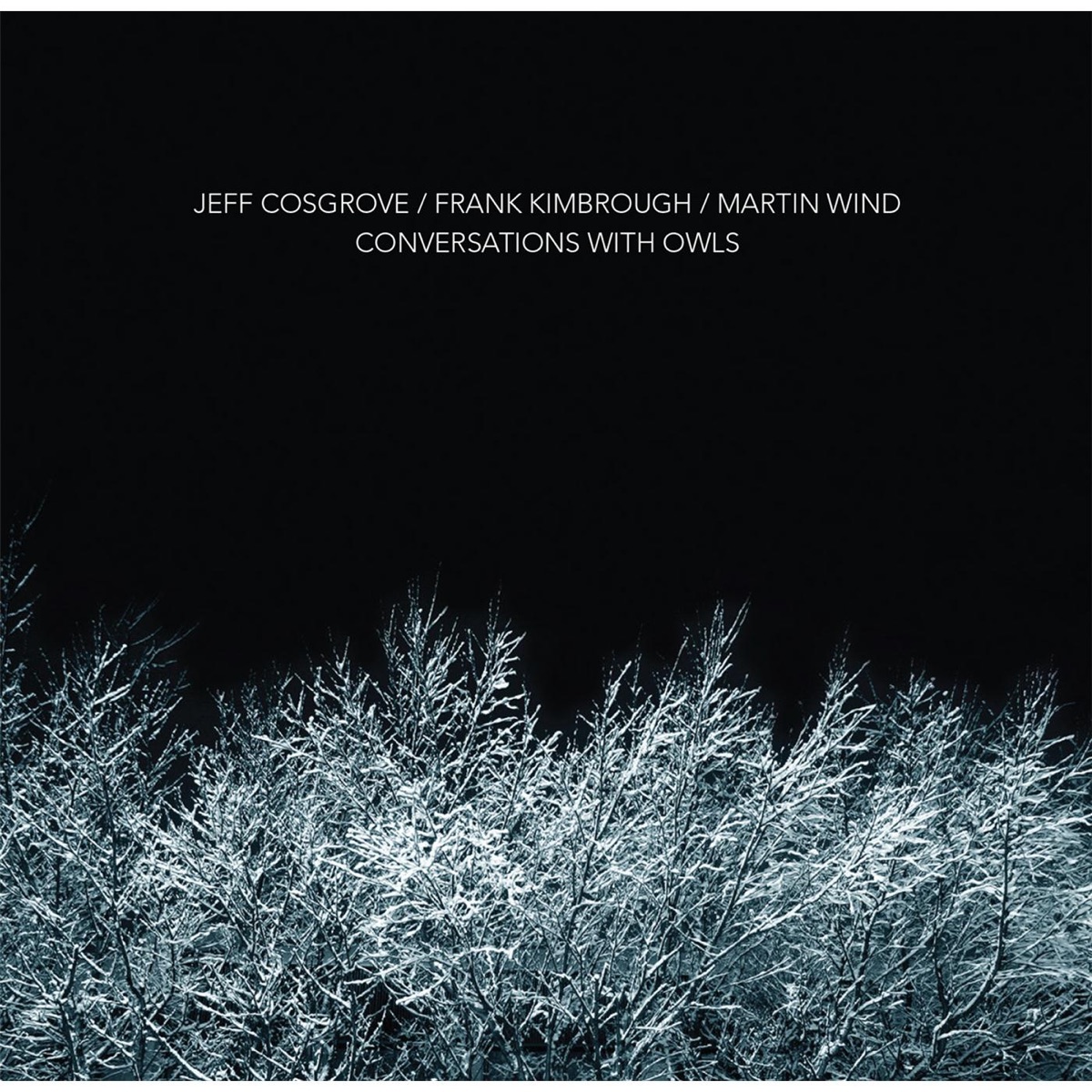 Conversations With Owls by Jeff Cosgrove, Frank Kimbrough & Martin Wind album cover