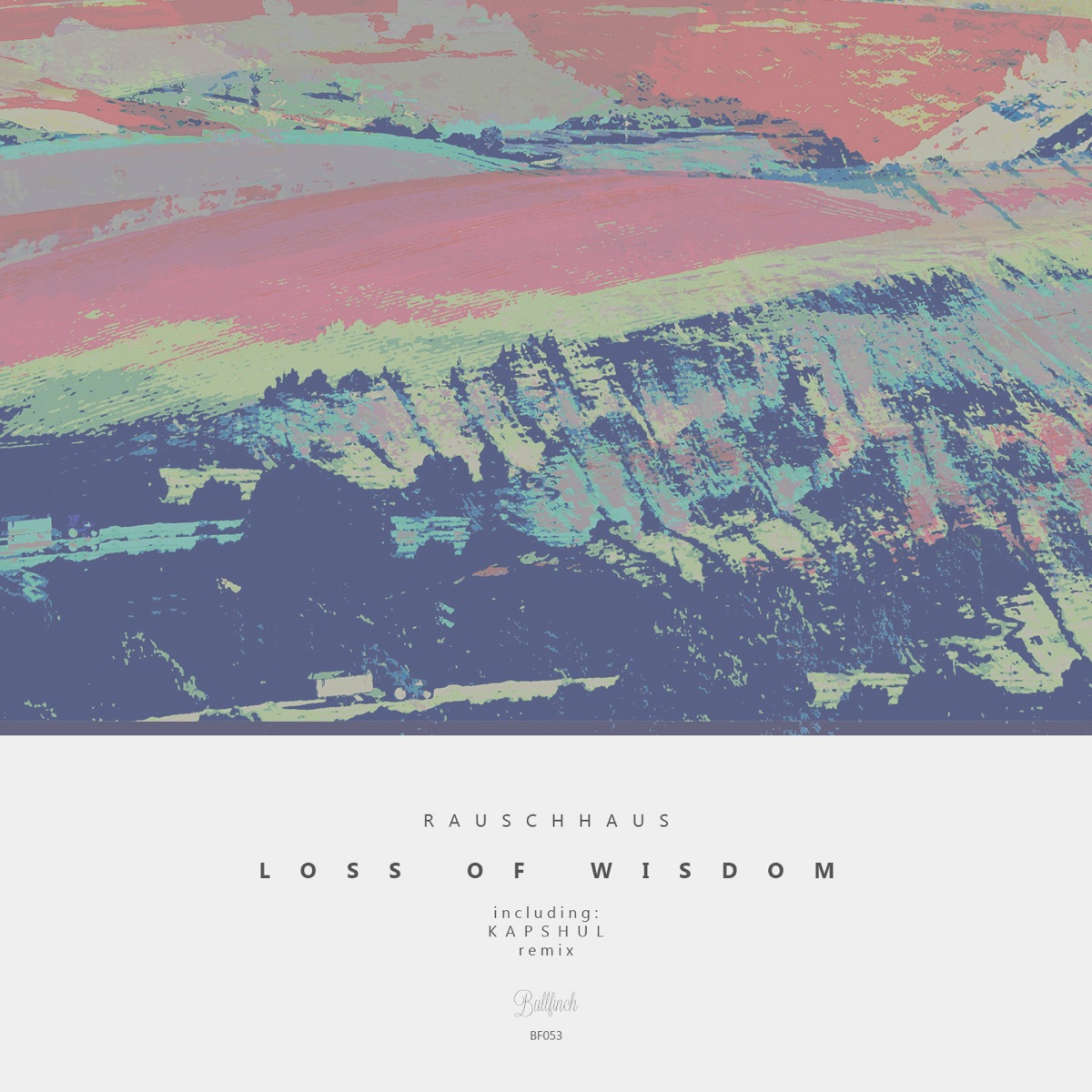 Loss of Wisdom - Single by Rauschhaus album cover