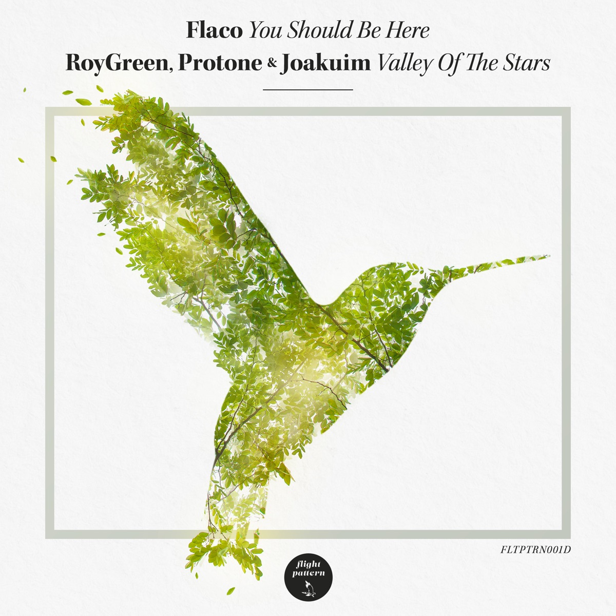 You Should Be Here / Valley of the Stars - Single by Flaco, Roygreen & Protone & Joakuim album cover