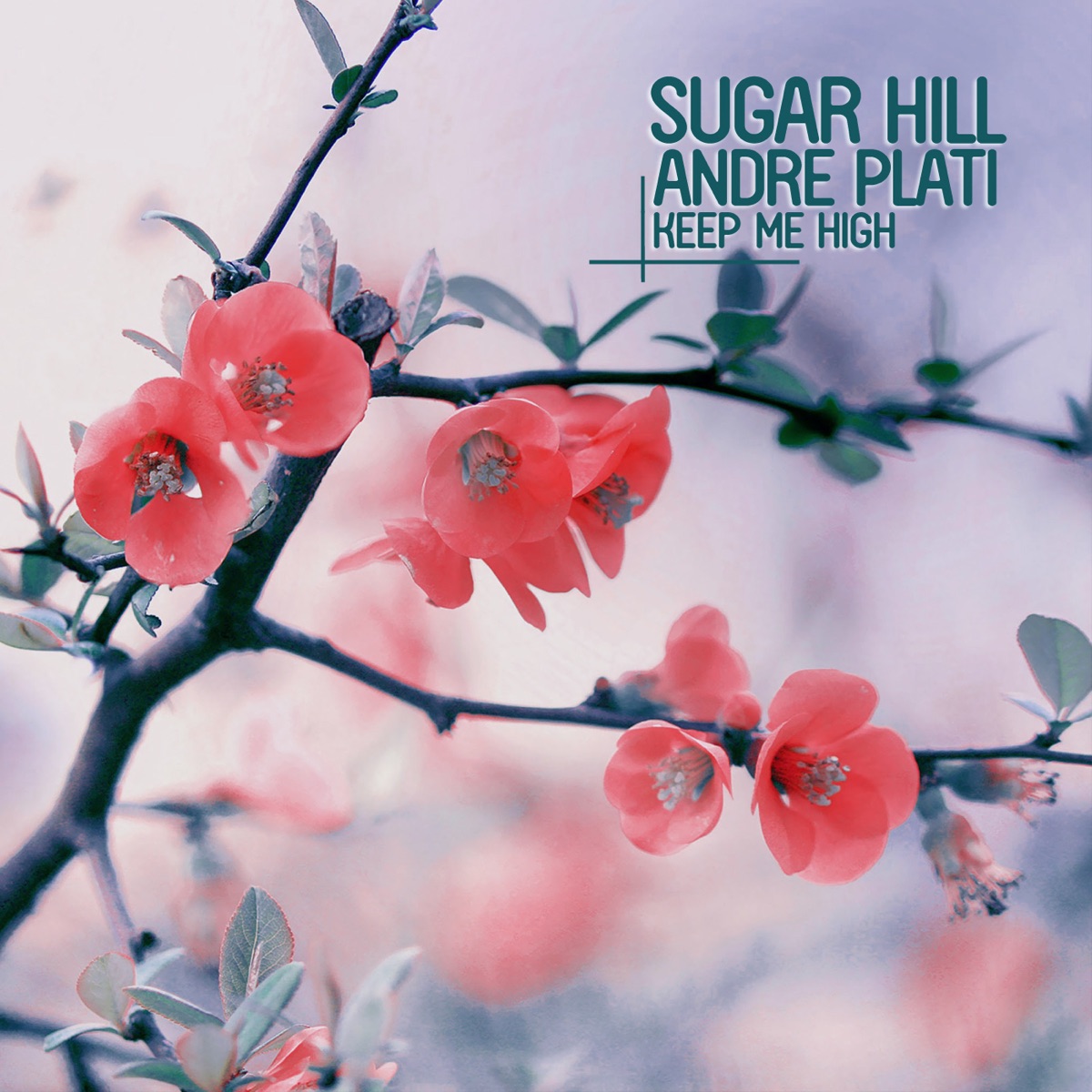 Keep Me High - EP by Sugar Hill & Andre Plati album cover