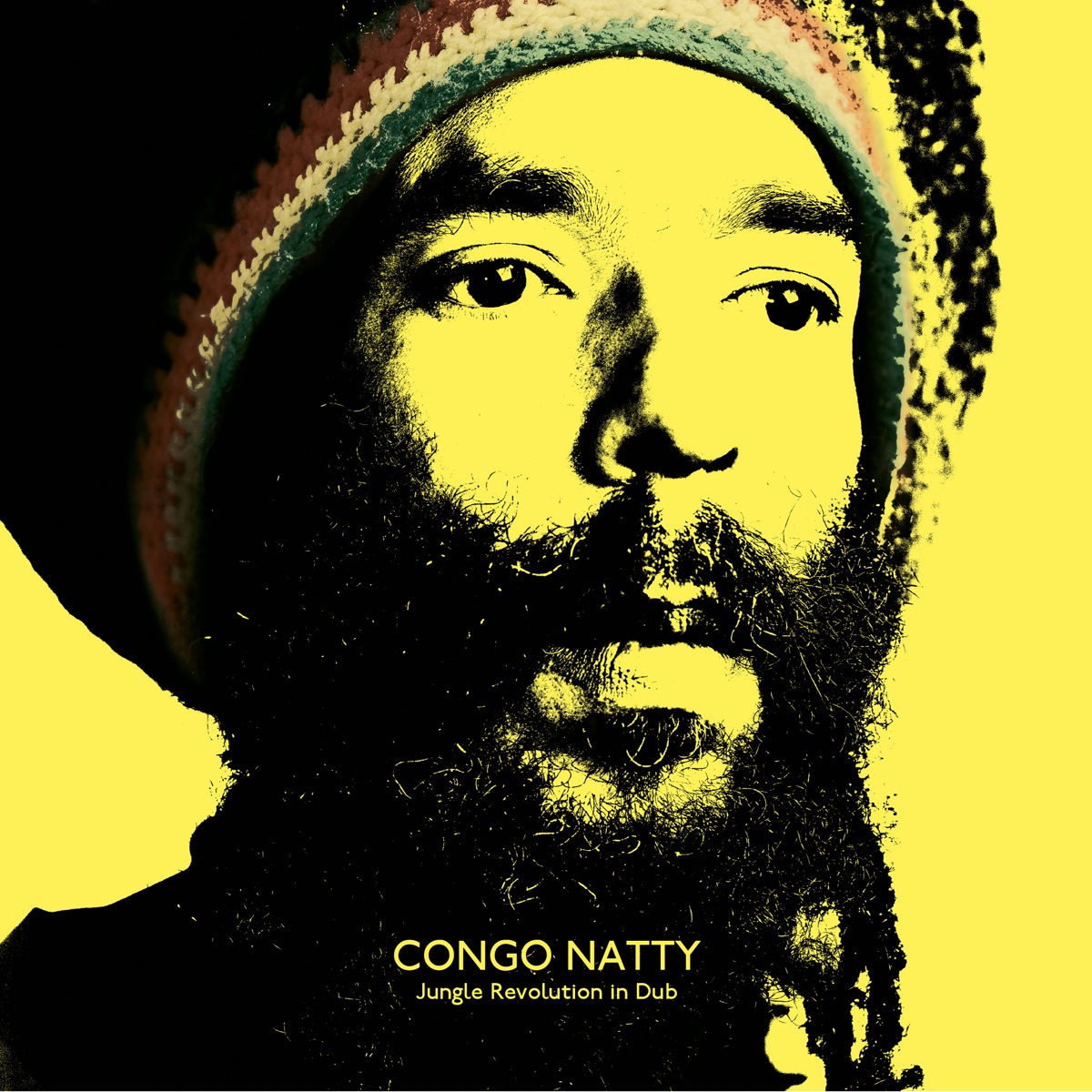 Jungle Revolution in Dub by Congo Natty album cover