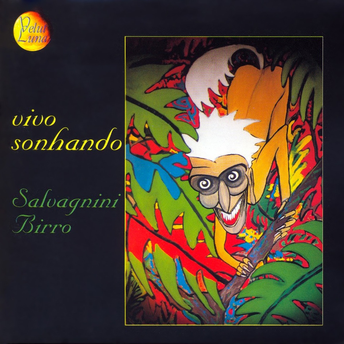 Vivo Sonhando by Salvagnini & Birro album cover