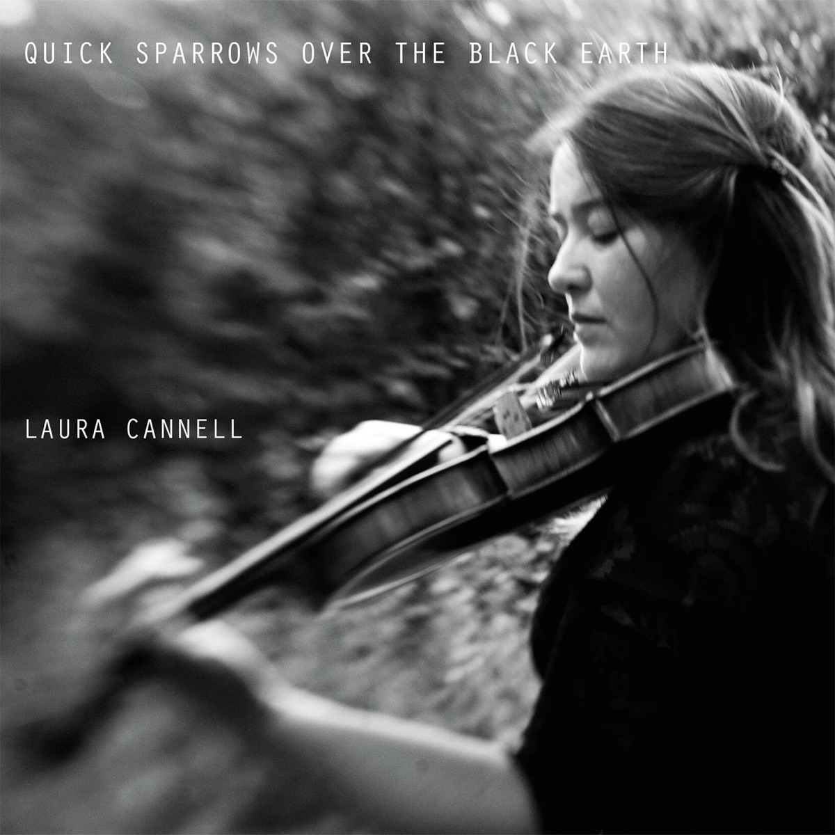 Quick Sparrows Over the Black Earth by Laura Cannell album cover