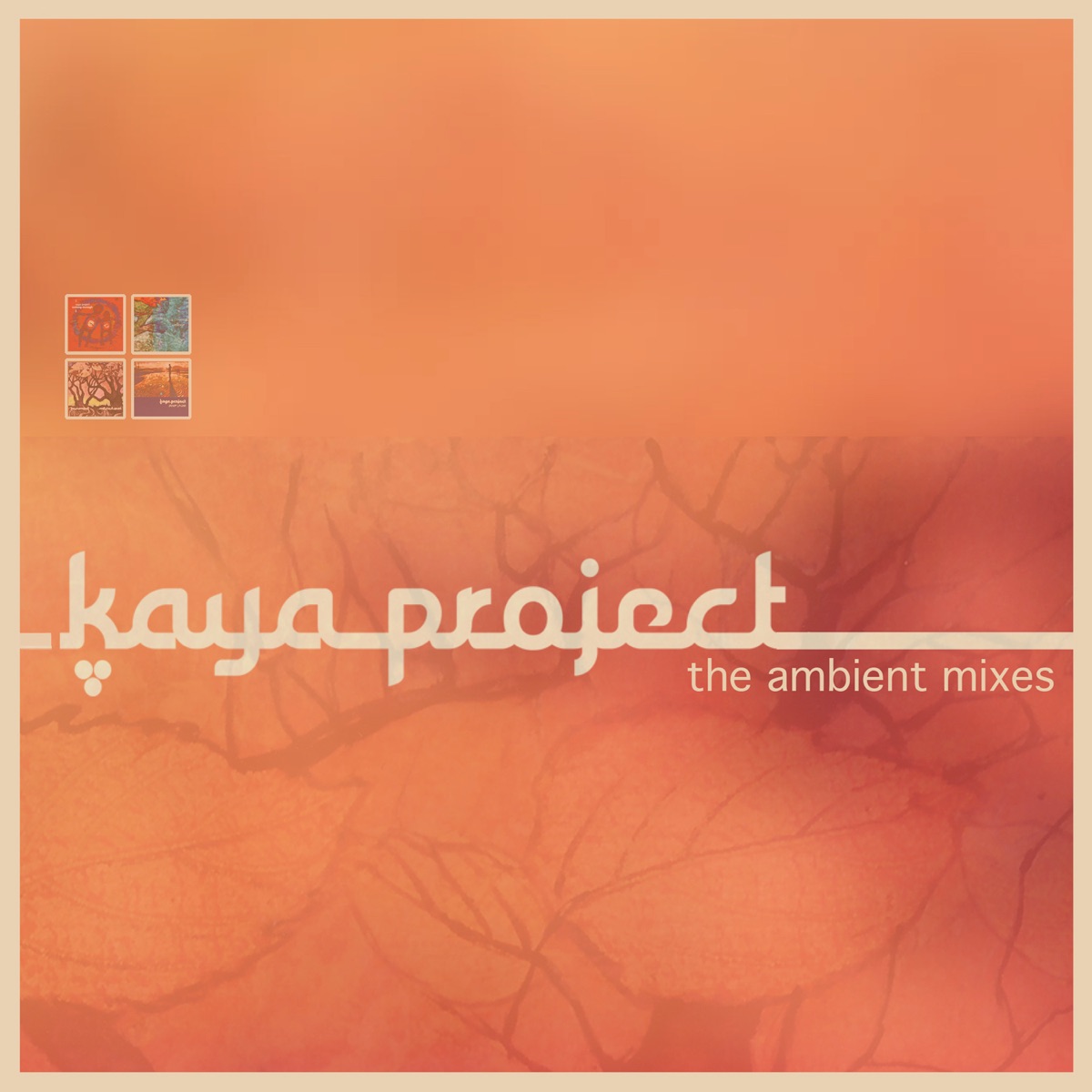 The Ambient Mixes by Kaya Project album cover