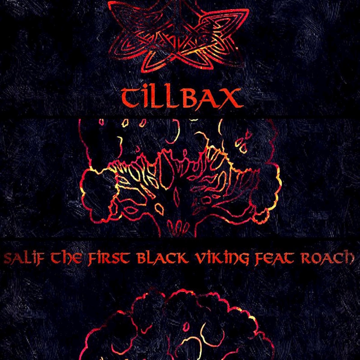 Tillbax (feat. Roach) - Single by Salif the First Black Viking album cover