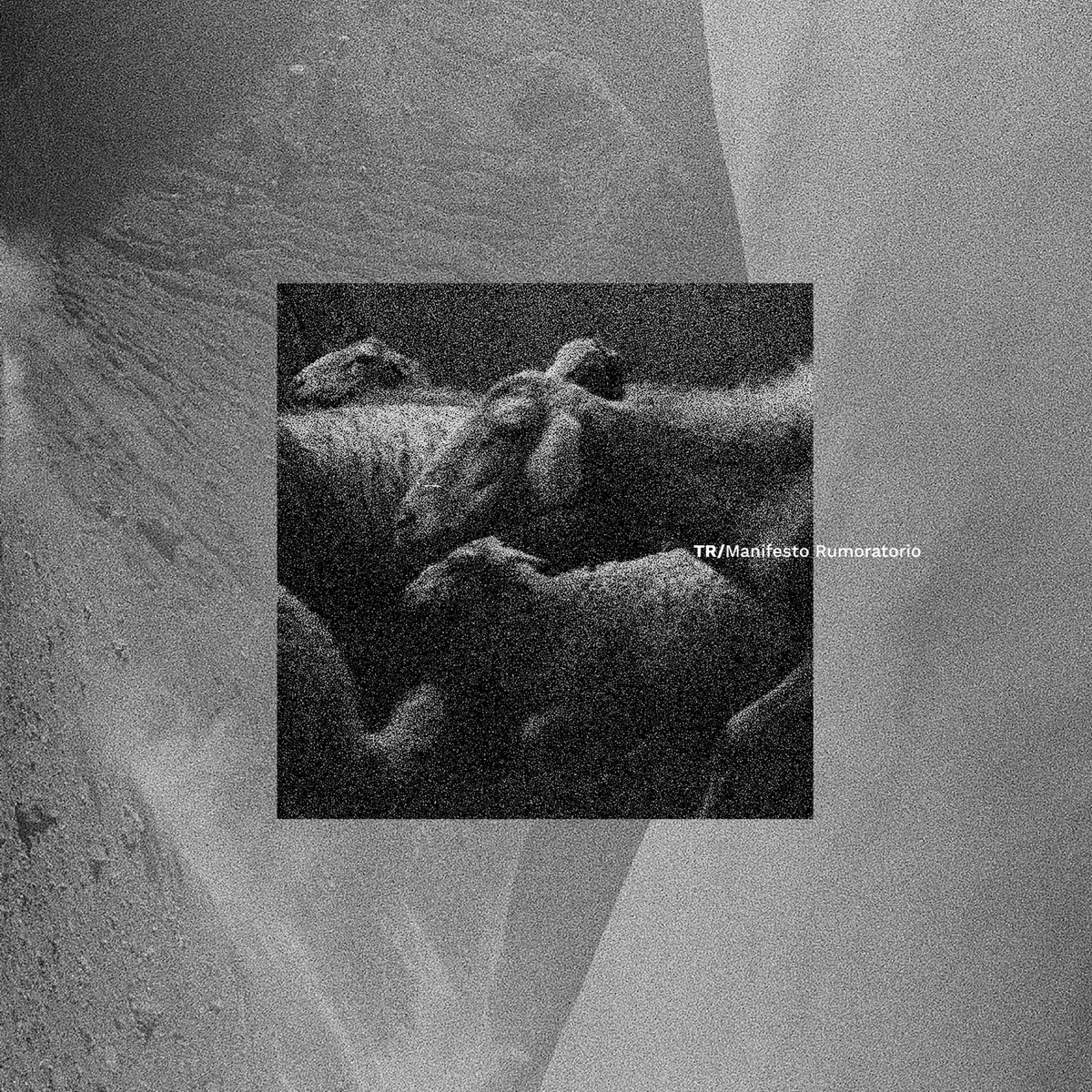 Manifesto Rumoratorio by TR album cover