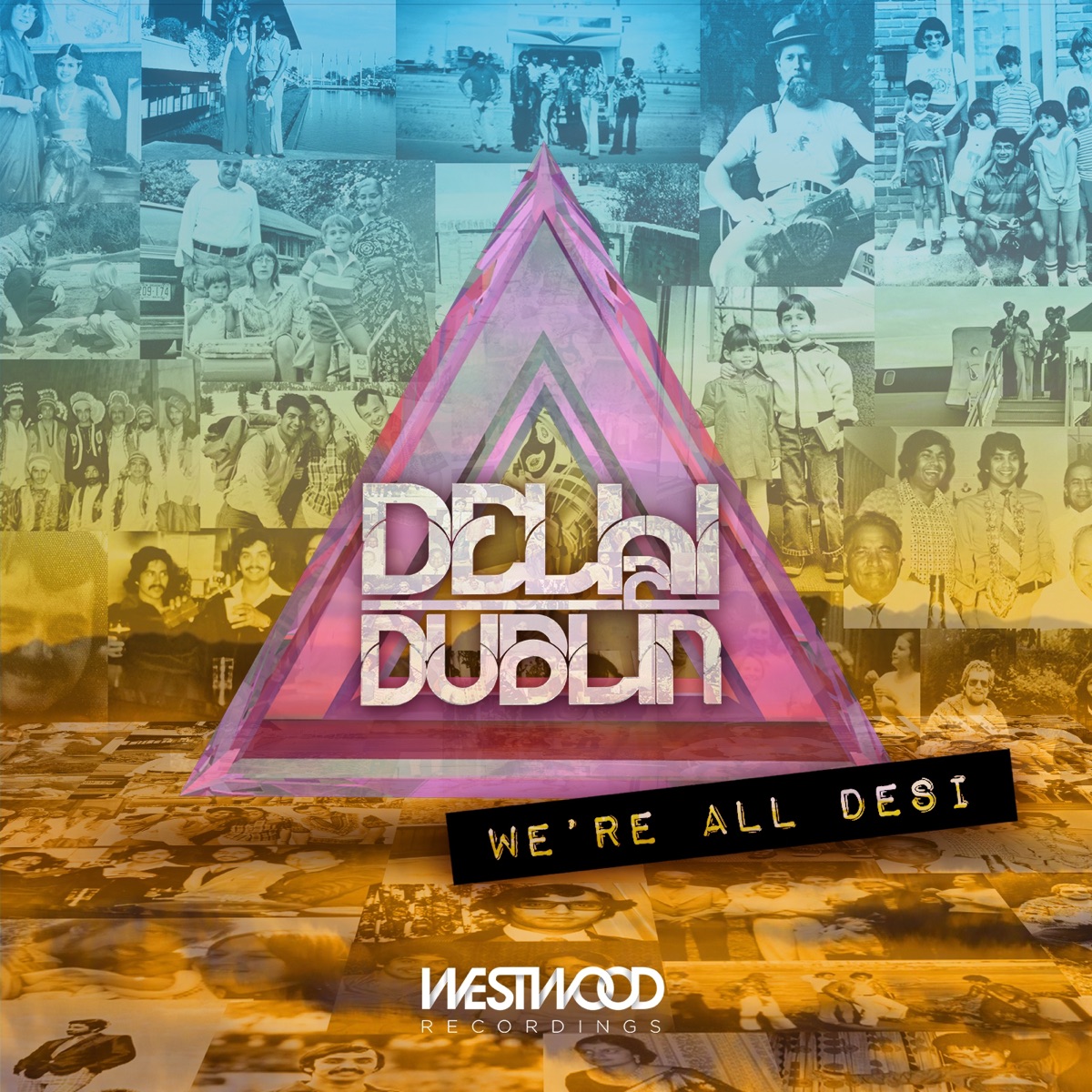 We're All Desi by Delhi 2 Dublin album cover