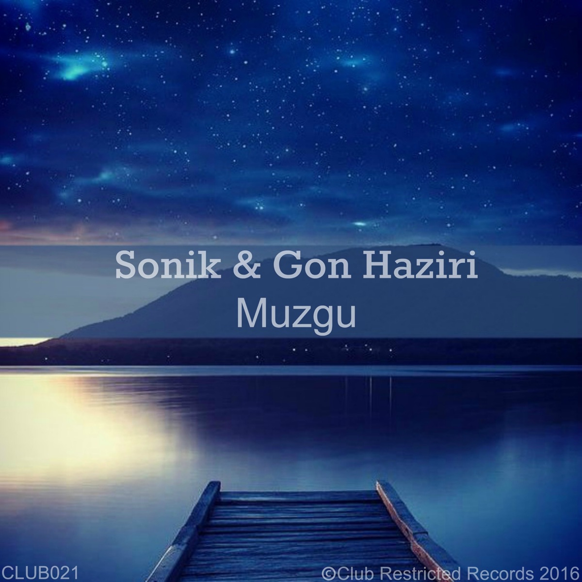 Muzgu - Single by Sonik & Gon Haziri album cover