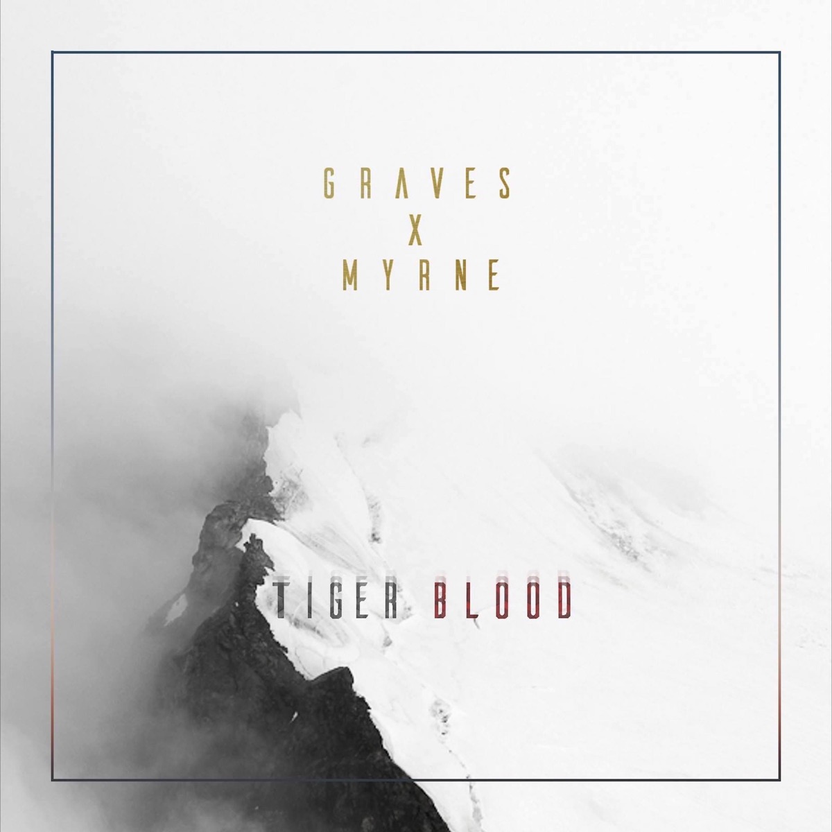 Tiger Blood - Single by graves & MYRNE album cover
