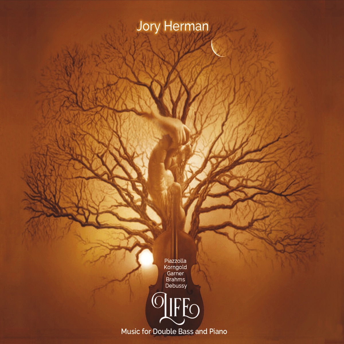 Life by Jory Herman album cover