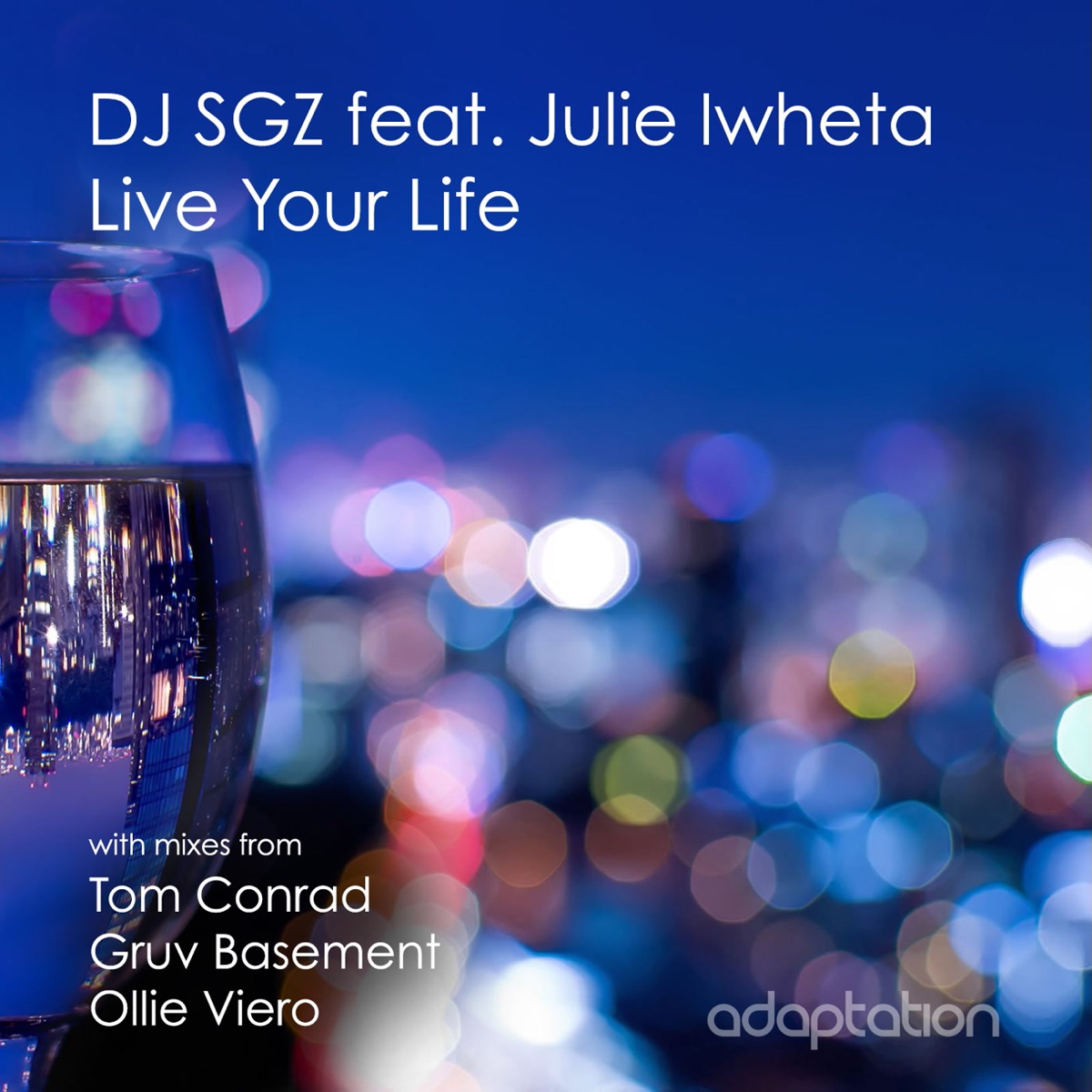 Live Your Life (feat. Julie Iwheta) by DJ SGZ album cover