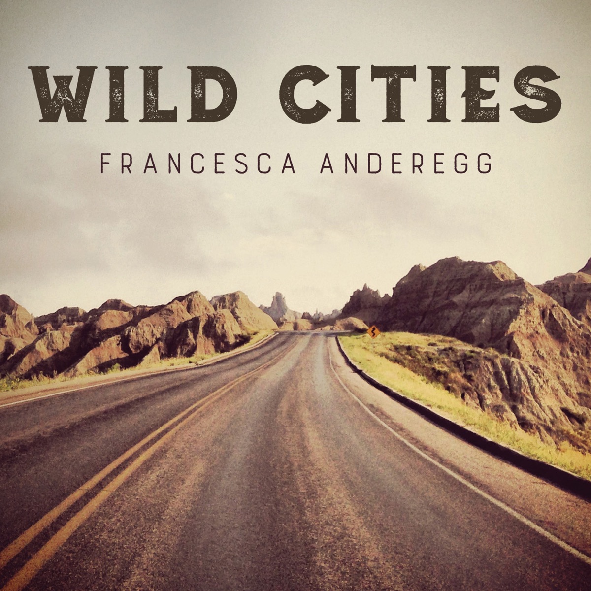 Wild Cities by Francesca Anderegg & Brent Funderburk album cover