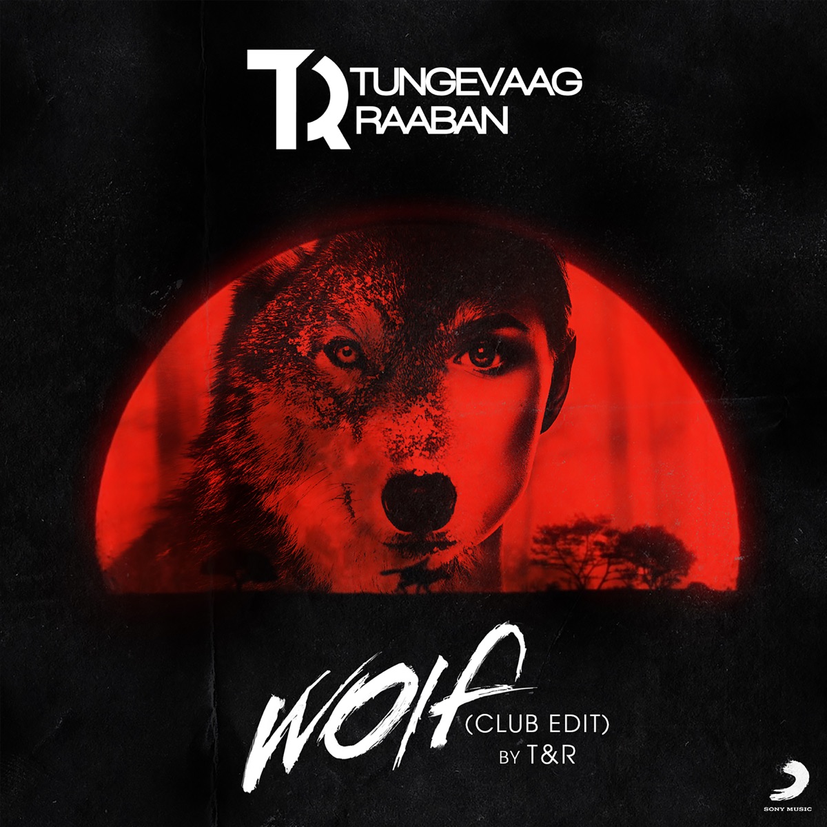 Wolf - Single by Tungevaag & Raaban album cover