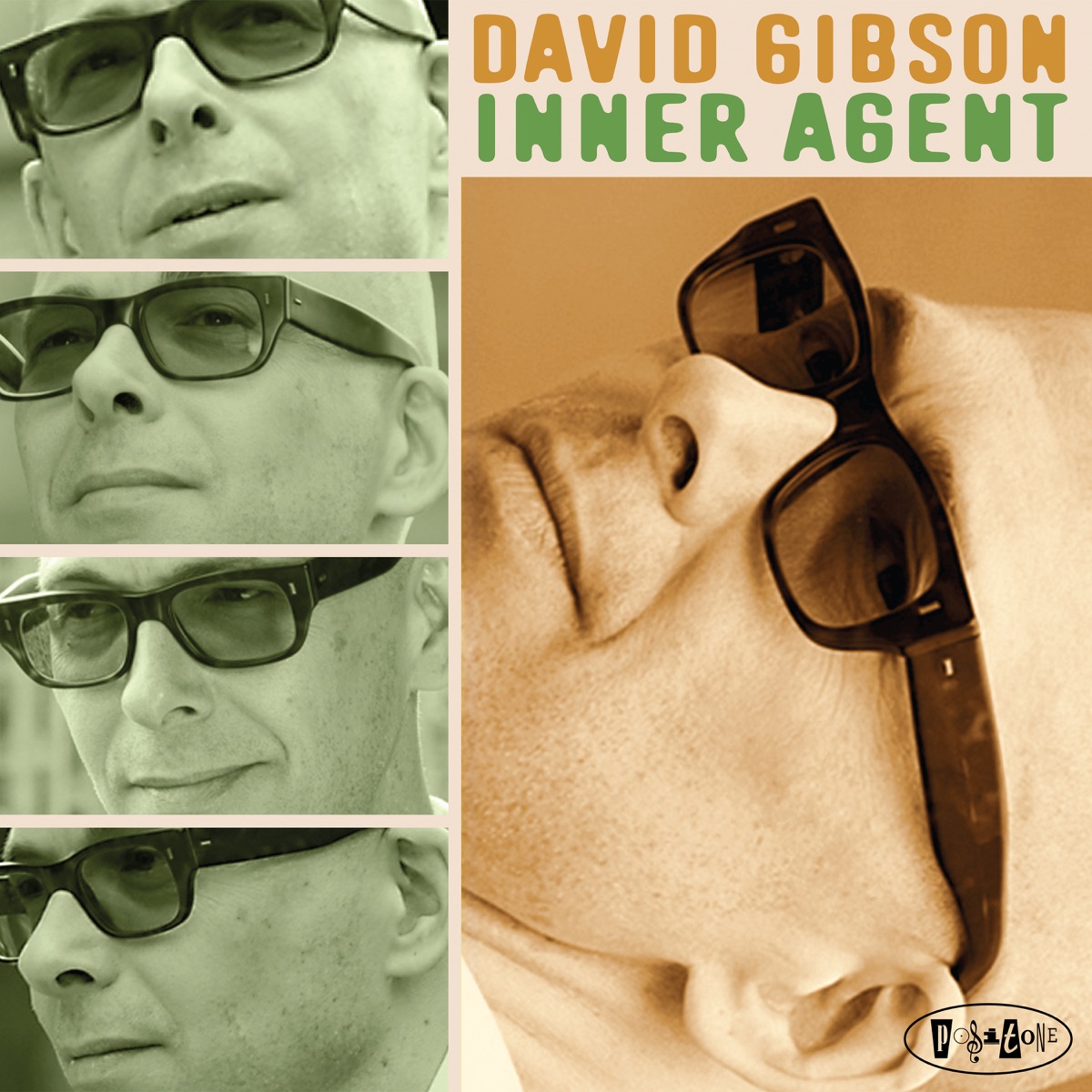 Inner Agent by David Gibson album cover