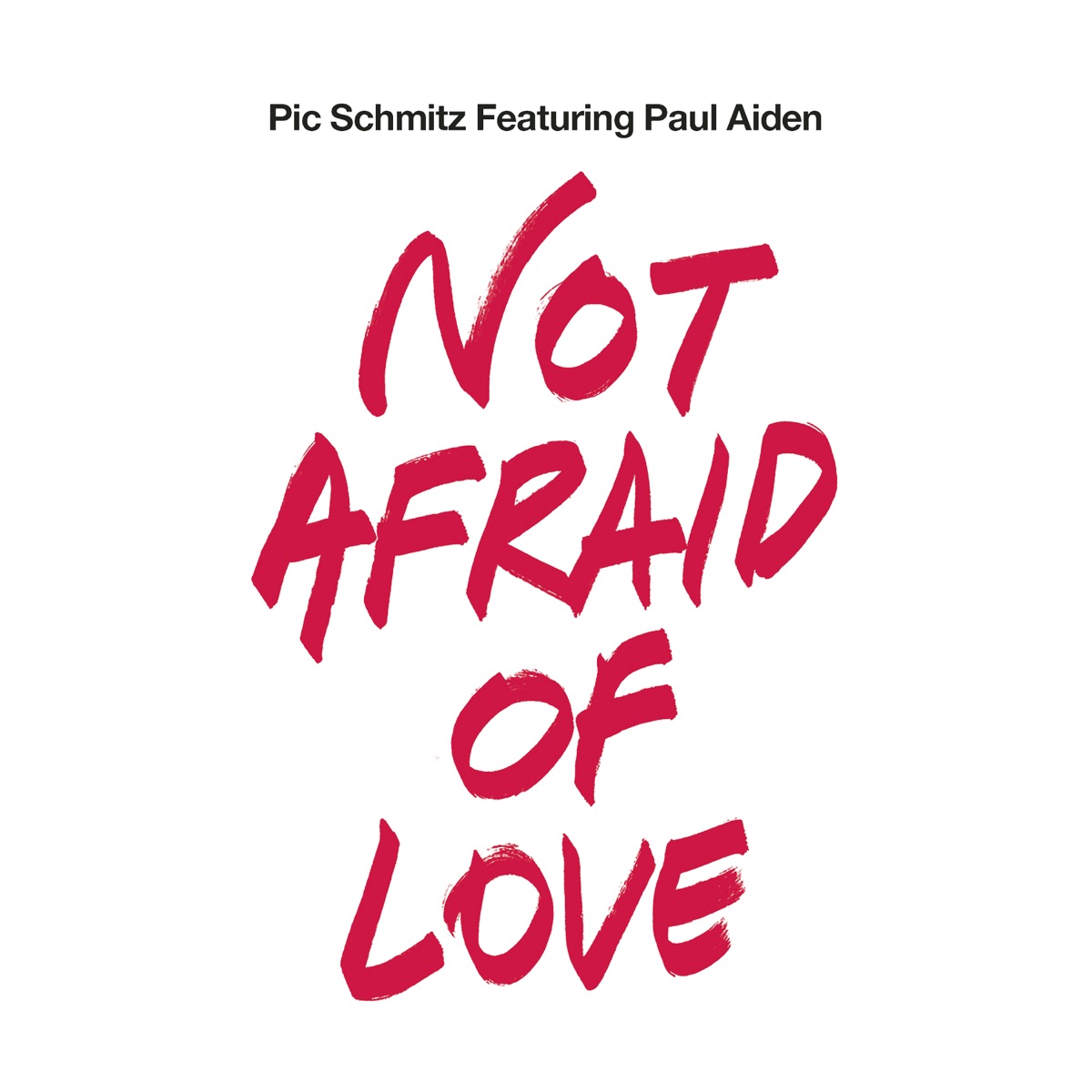 Not Afraid of Love (feat. Paul Aiden) - EP by Pic Schmitz album cover