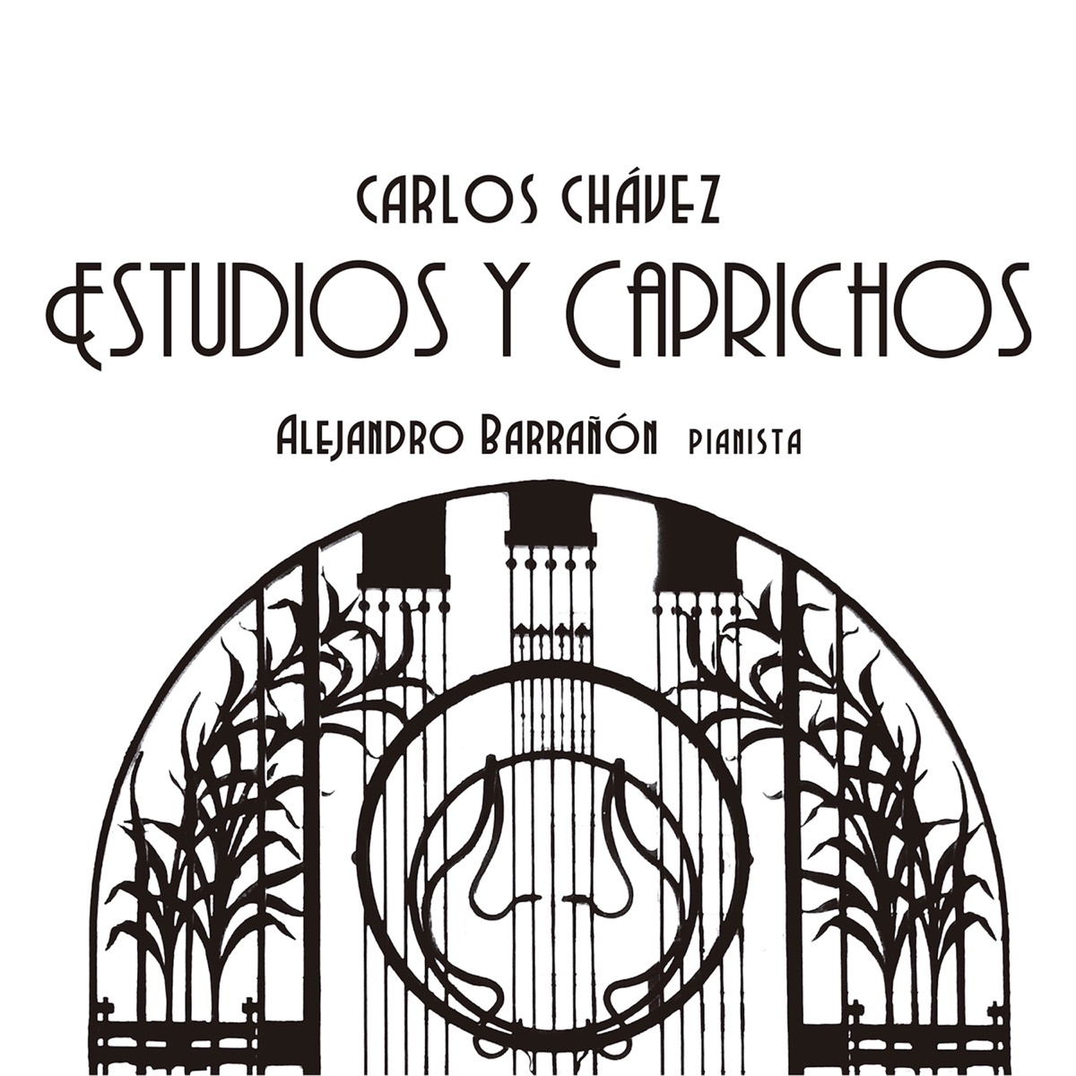 Estudios y Caprichos by Alejandro Barrañón album cover