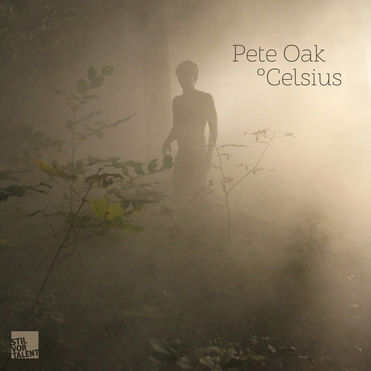 Celsius - Single by Pete Oak album cover